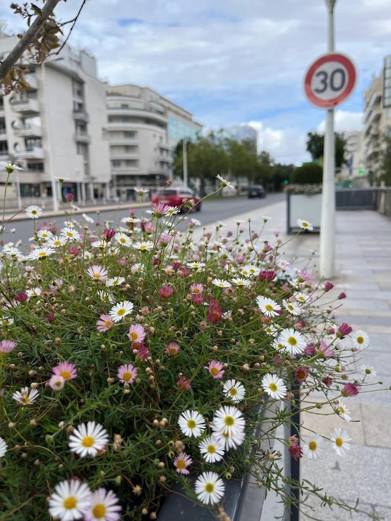 Appartement Avec Balcon Sur Jardin Et Parking Prive *